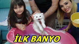 Lİna'nın Kedisi Pamuk Dorin'in İlk Banyosu ! Kedi Nasıl Yıkanır! Rukiye Çetinkay
