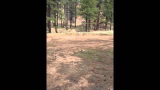 Marlin Xt Bolt Action .22