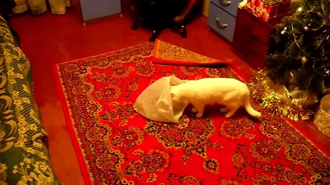 Кошеловка для кошек Кошеловка для кошек