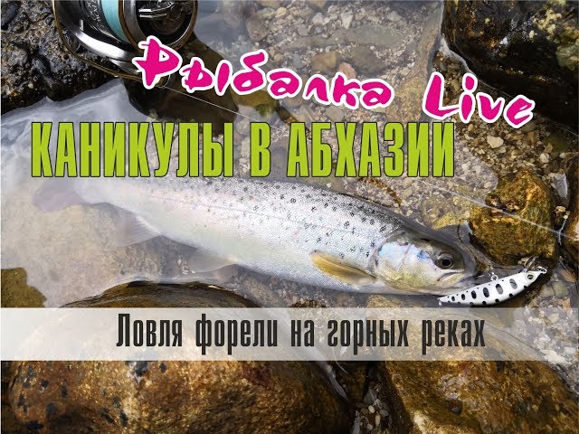 Рыбалка Live. Каникулы в Абхазии. Ловля форели на горных реках