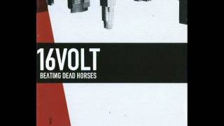 Watch 16volt Beating Dead Horses video