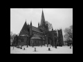 Malevolent Existence Video preview