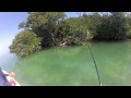 Florida