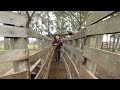 Midnight Rider Video preview