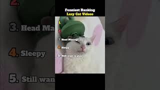 Funniest Ranking Lazy Cats Videos