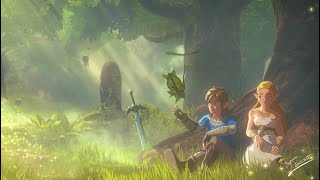 The Legend Of Zelda Breath Of The Wild - Korok Forest Chill Relaxing Ambience