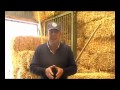 AIASE - CAVALLO, FISCO E REDDITOMETRO - 1
