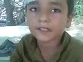 Afghani Bacha Pasho 2013 Afrin Arman All Pashto images Afghani Bacha Pasho 2013 Afrin Arman All Pashto
