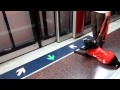 Hong Kong Guide Dog Iris puppy training