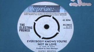 Watch Electric Prunes Everybody Knows Youre Not In Love video