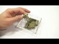 Oreo Chocolate Bar Mini Uji Maccha - Green Oreo Cookies!