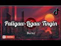 Paligaw ligaw Tingin - Eurika | Tiktok Dance Song Remix | Aesthetic Specterr Video