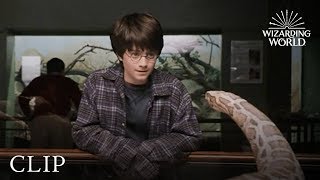 Harry and the Snake | Harry Potter and the Philosopher's Stone