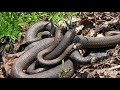 Forbidden Places On Earth You Should NEVER Visit!