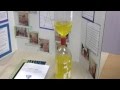Fulton Sunshine Academy (FSA Elementary School) is a Tuition Free, Public, Math & Science focused, Fulton County Charter School located in Roswell - Alpharet...
