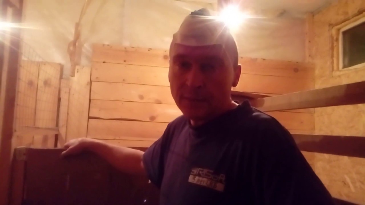 14 Лучших Продуктов Для Хранения Продуктов