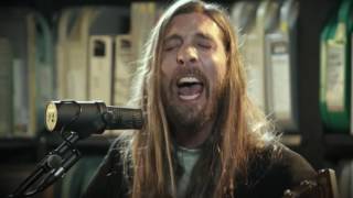 Watch Trees Sunshine video