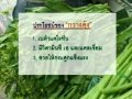 ผักกวางตุ้งเสริมกระดูก