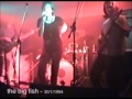 Old Mr. Heffer | 4 Non Blondes | Cover version by The Big Fish Band
