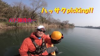 パド錬後の、八朔picking!!