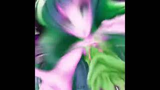 Rika Furude Higurashi No Naku Koro Ni Edit