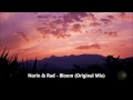 Norin & Rad - Bloom (Original Mix)