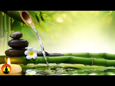 Relaxing Music, Healing Music, Meditation Music, Sleep Music, Yoga Music, Relax, Study Music ☯3564