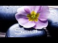 Relaxing Music, Healing Music, Meditation Music, Sleep Music, Yoga Music, Relax, Study Music ☯3564