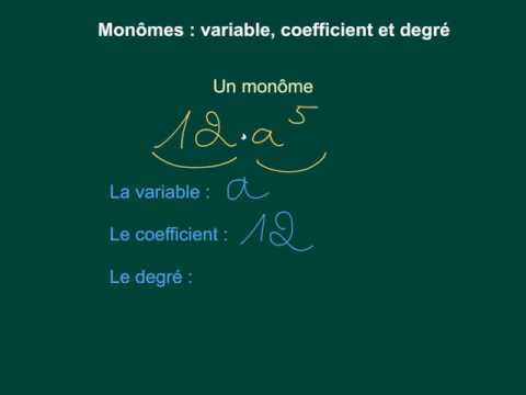 3.1 Les monômes (MATH BELOT)