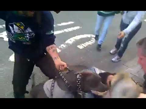 Pit Bull attacking little dog on streets of NYC