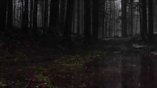 ORMANDA GÖKGÜRÜLTÜLÜ YAĞMUR - thunder forest rain sound (uyku, rahatlama, huzur 