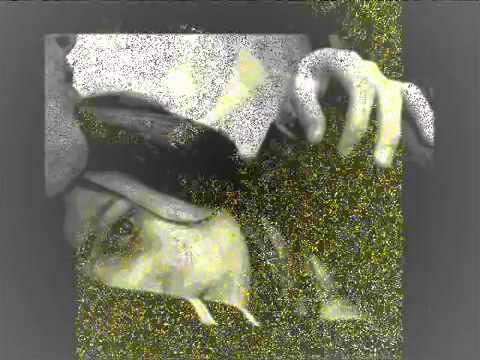Na main janu Na Tu Jane.flv
