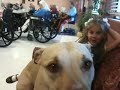 THERAPY PIT