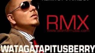 Watch Pitbull Watagatapitusberry Remix video