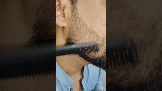 Garnier Beard Colour
