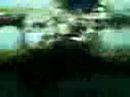 Foto pequena Sea Life - Fish - Part 02