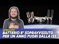 Batterio è sopravvissuto per un anno fuori dalla ISS