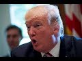 President Donald Trump IMPORTANT Cabinet Meeting on Draining the Swamp and Restructuring Government