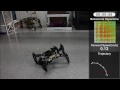 Supplementary Video S1 for "Robots that can adapt like natural animals"