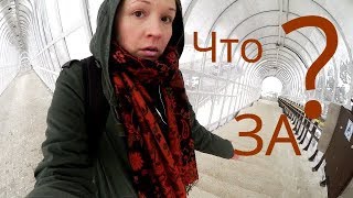 Видео МАРАЗМ И УЖАС НА ПРОСПЕКТЕ ПАТРИОТОВ в Воронеже от LINA, проспект Патриотов, Воронеж, Россия