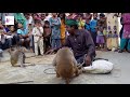 Akshay Kumar Ki Tarah Karta Hai Saare Action Ye Bandar | Comedy Video From My Phone