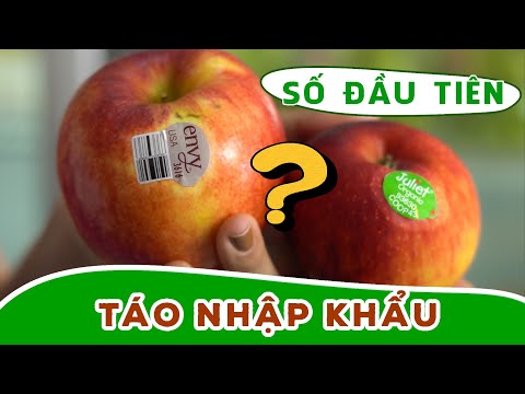 Giải mã Ý nghĩa các Mã số trên Trái cây Nhập Khẩu| Nhất định không được bỏ qua VIDEO này