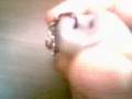 Foto pequena Sony Ericsson Z530i demostration