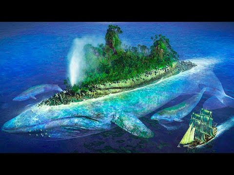 Как сделать циклопа в subnautica Как сделать циклопа в subnautica