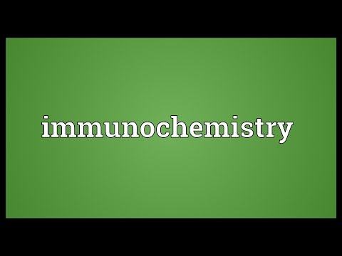 Header of immunochemistry
