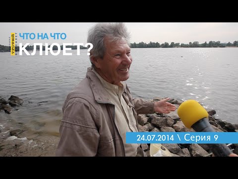 что на что клюет 2015 что на что клюет 2015