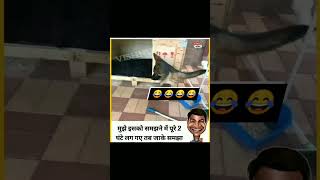 इसम आपक कय समझ आय जर मझ कमट करक बतओ