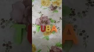 Tuba Entertainment Logo Remake