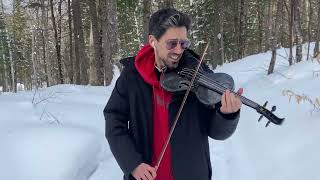 Rockys Training With Violin And Snow