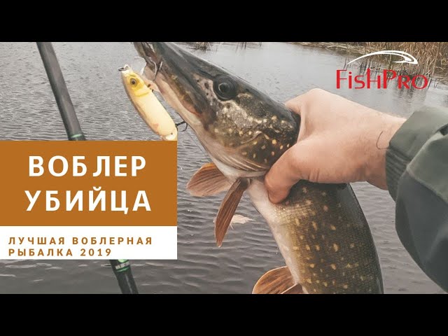 Воблер-убийца. Лучшая воблерная рыбалка 2019.